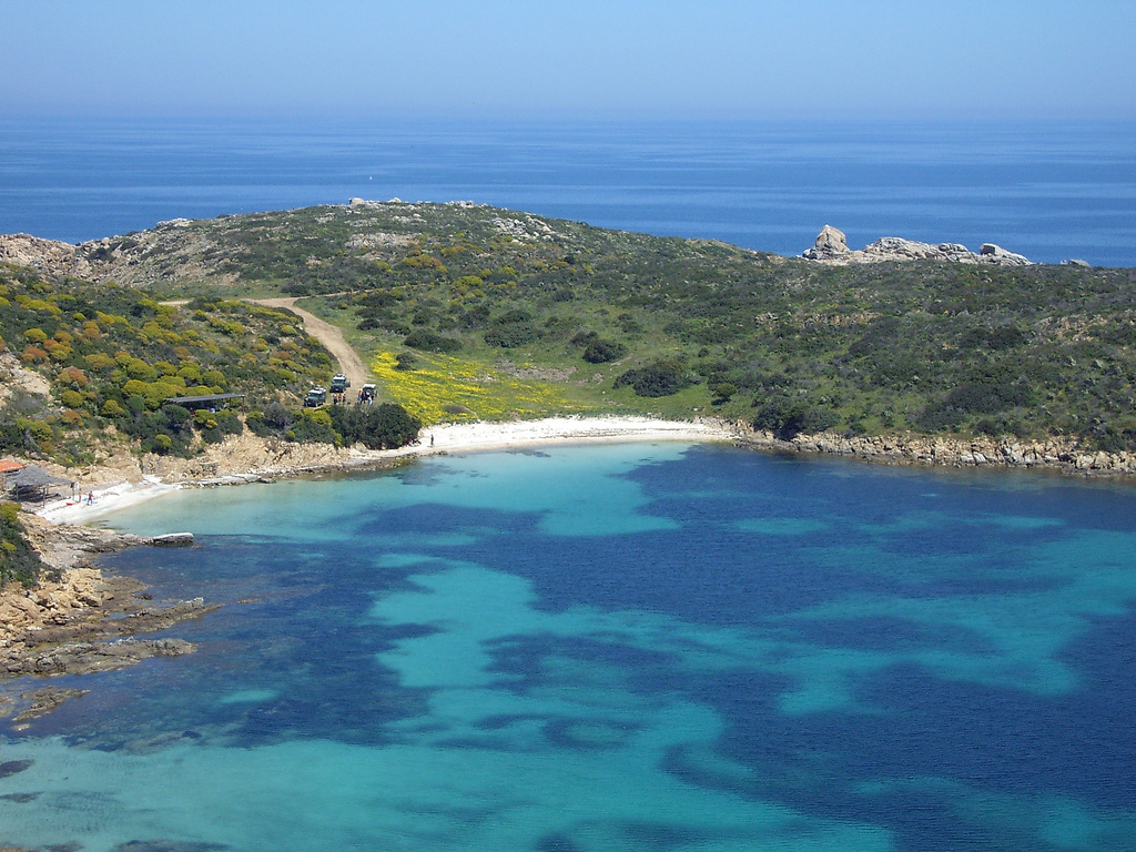 Spiaggia di Cala Sabina dell'Asinara Tracce di Sardegna