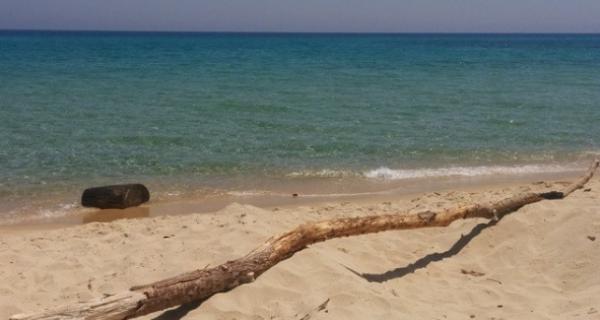Spiaggia di Tziu Franziscu