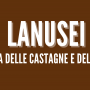 Fiera delle Castagne e del Vino Nuovo di Lanusei