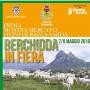 berchidda in fiera berchidda in fiera