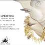 di mostra di mostra