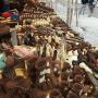 Festa del Cioccolato Cagliari, prorogata sino a Domenica 2 Aprile 2017 Festa del Cioccolato Cagliari, prorogata sino a Domenica 2 Aprile 2017