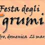 Festa degli Agrumi di Villacidro, ecco il programma completo di Domenica 26 Marzo 2017