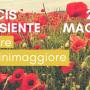 Fluminimaggiore, Sulcis Iglesiente in Fiore, ecco il programma del 20 e 21 Maggio 2017 Fluminimaggiore, Sulcis Iglesiente in Fiore, ecco il programma del 20 e 21 Maggio 2017