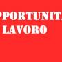 Opportunità lavoro