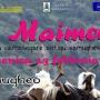 A maimone 2014 A maimone 2014