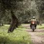 Raid degli Oliveti, appuntamento con il mototurismo in Sardegna