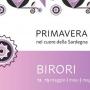 Primavera nel Cuore della Sardegna 2018 a Birori, ecco il programma del 12 e 13 Maggio