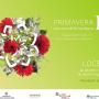 Primavera in Ogliastra a Loceri, ecco il programma del 29, 30 Aprile e 1 Maggio 2017 Primavera in Ogliastra a Loceri, ecco il programma del 29, 30 Aprile e 1 Maggio 2017