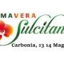 Primavera Sulcitana a Carbonia, ecco il programma del 13 e 14 Maggio 2017 Primavera Sulcitana a Carbonia, ecco il programma del 13 e 14 Maggio 2017