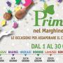 Primavera Ogliastra