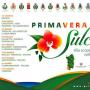 primavera iglesias primavera iglesias