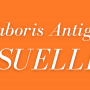 Saboris Antigus 2022 a Suelli, programma