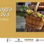 Sagra dell'Uva 2018 di Quartu Sant'Elena, ecco il programma dell'evento dal 10 al 23 Settembre Sagra dell'Uva 2018 di Quartu Sant'Elena, ecco il programma dell'evento dal 10 al 23 Settembre