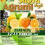 sagra degli agrumi - Zerfaliu
