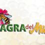 Sagra del miele di Montevecchio 2019, programma del 24 e 25 agosto Sagra del miele di Montevecchio 2019, programma del 24 e 25 agosto