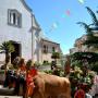 Festeggiamenti in onore di Santa Barbara a Perdasdefogu, sabato 26 Maggio