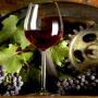 VINOCULTURA VINOCULTURA