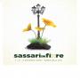 Sassari in fiore 2018, ecco il meraviglioso evento dedicato alla florovivaistica a Sassari dal 1 al 3 Giugno