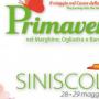 primavera a siniscola primavera a siniscola
