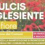 Sulcis Iglesiente in Fiore, Ecco gli appuntamenti da Marzo a Maggio 2017 Sulcis Iglesiente in Fiore, Ecco gli appuntamenti da Marzo a Maggio 2017