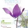 primavera tortolì primavera tortolì
