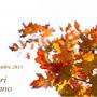 musei sapori d'autunno musei sapori d'autunno