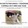 Un gatto per amico a Cagliari, ecco l'evento del 9 Aprile 2017