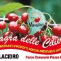 Sagra delle Ciliegie 2019 a Villacidro, il programma 8 e 9 Giugno Sagra delle Ciliegie 2019 a Villacidro, il programma 8 e 9 Giugno