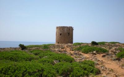 Torre di Cala Domestica