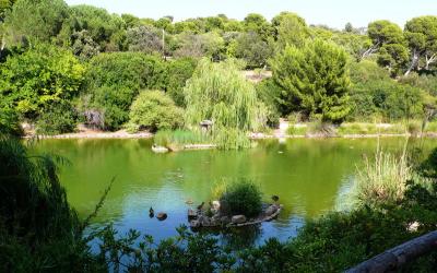 Parco Monte Urpinu