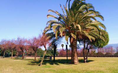 Parco Colle di San Michele