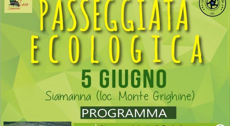 Passeggiata Ecologica Siamanna Passeggiata Ecologica Siamanna