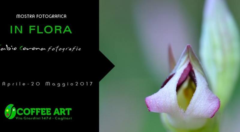 IN FLORA, mostra fotografica a cura di Fabio Corona a Cagliari sino al 20 Maggio 2017