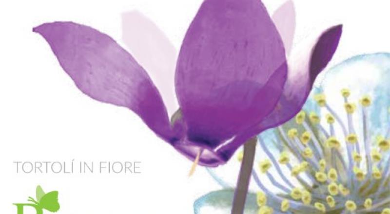 primavera tortolì primavera tortolì