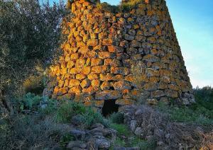 Nuraghe Crabia - www.traccedisardegna.it - foto di Ornella Foddi Nuraghe Crabia - www.traccedisardegna.it - foto di Ornella Foddi