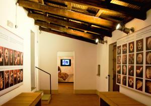 Museo etnografico Sa Domu de is Ainas