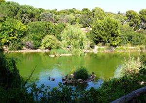 Parco di Monte Urpinu Parco di Monte Urpinu