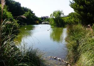 Parco di Monte Urpinu Parco di Monte Urpinu