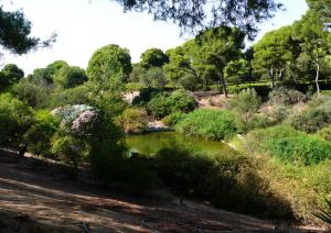 Parco di Monte Urpinu Parco di Monte Urpinu