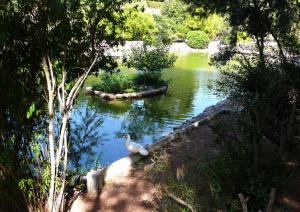 Parco di Monte Urpinu Parco di Monte Urpinu